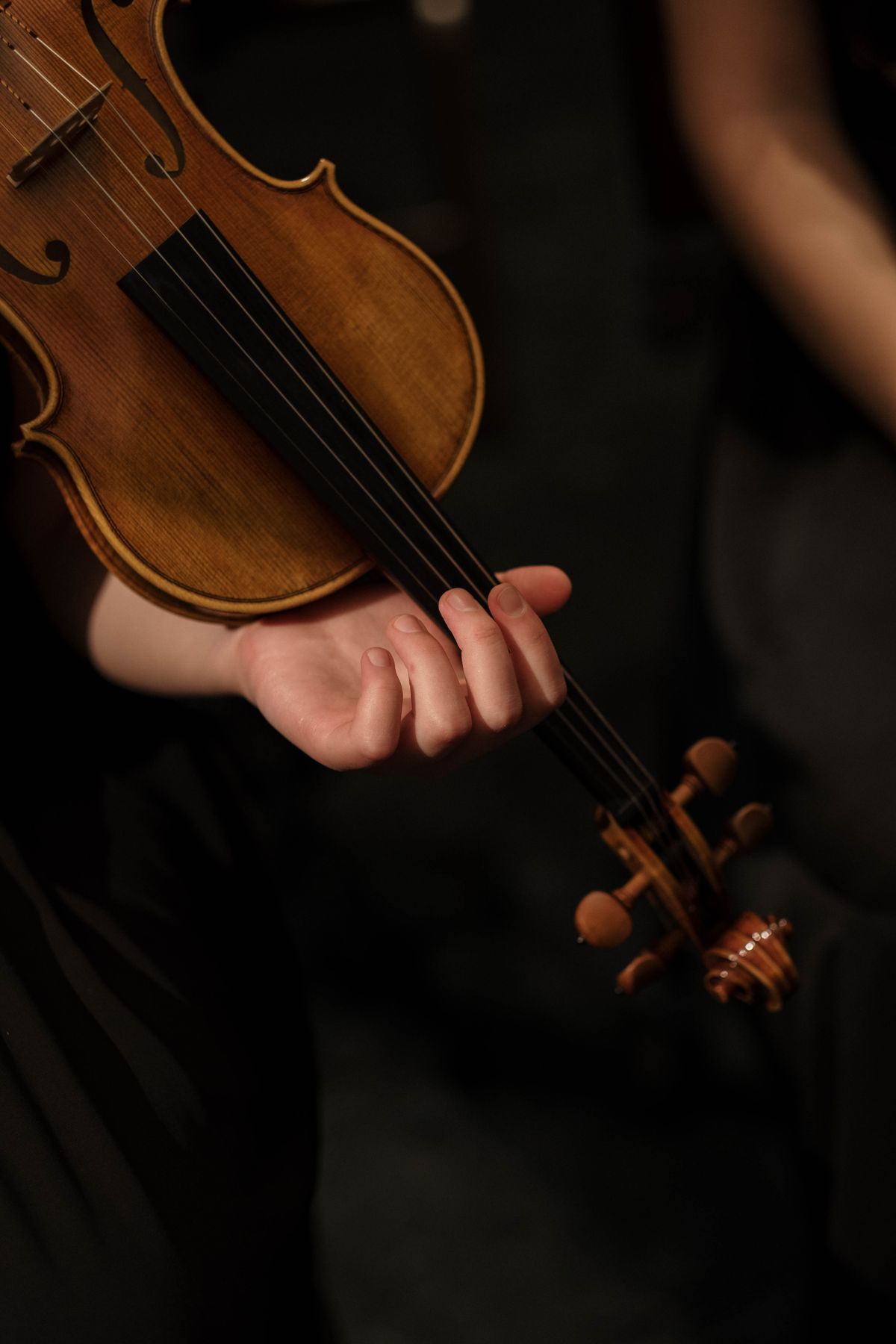 Violin